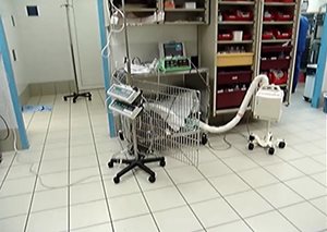 traitement chien hospitalisé