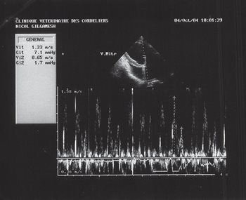Fig 8 Echo 5